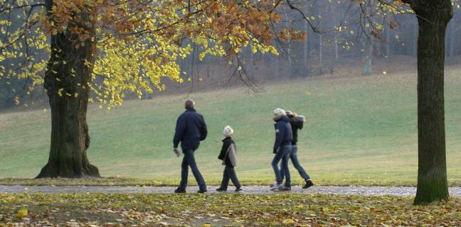 Personer promenerar i park