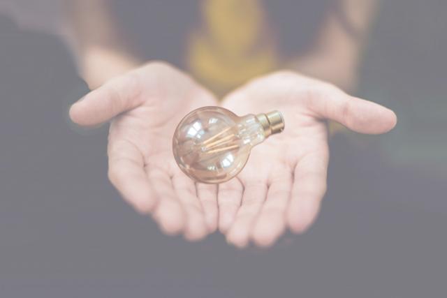 Hands holding light bulb