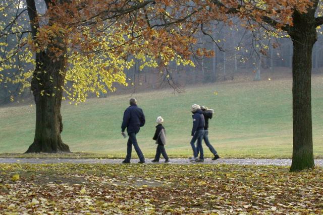 Personer promenerar i park