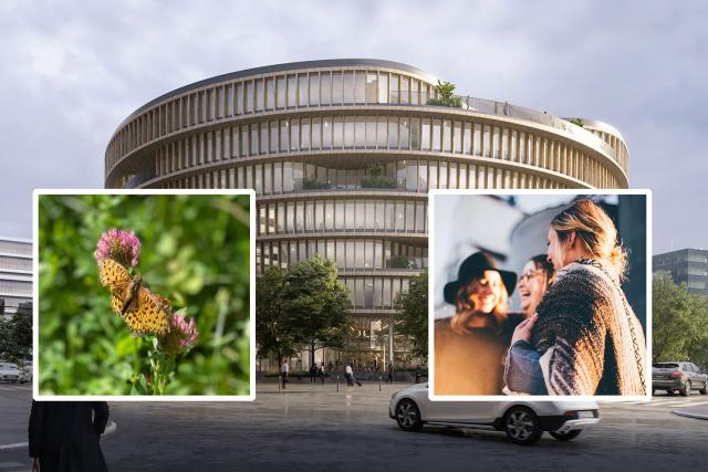 Foto av byggnaden Forskaren, samt ett foto av en fjäril och en av leende personer 