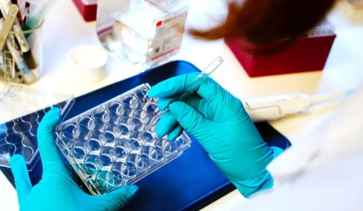 Foto av händer som håller i labbinstrument