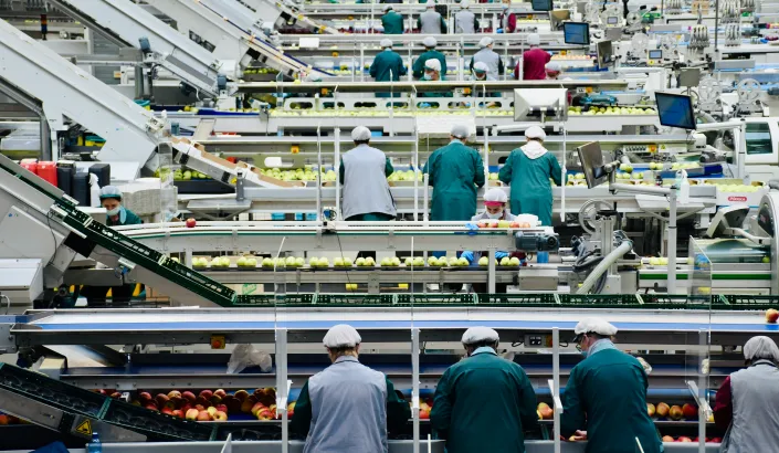 Äppelproduktion