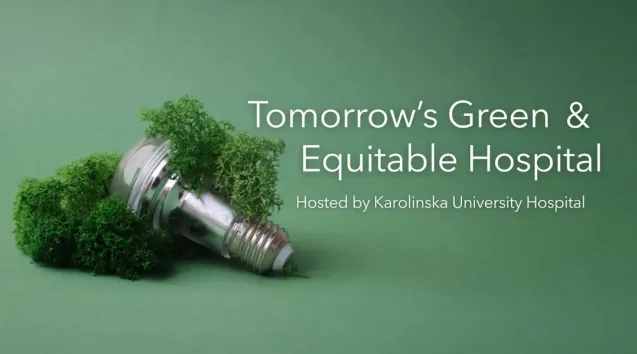 Photo of light bulb on greenery