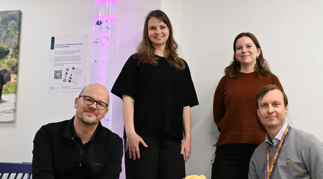 Photo of four people