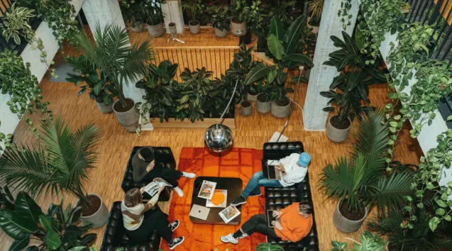 Foto av kontor med många gröna växter
