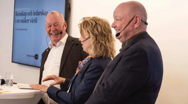 De tre rektorerna, Almedalen 