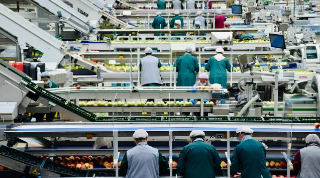Äppelproduktion