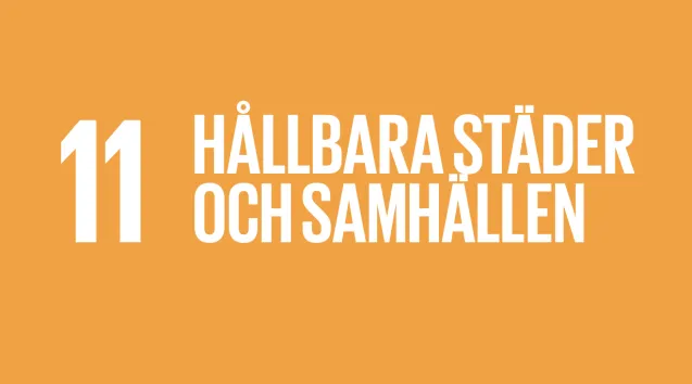 Globalt mål 11