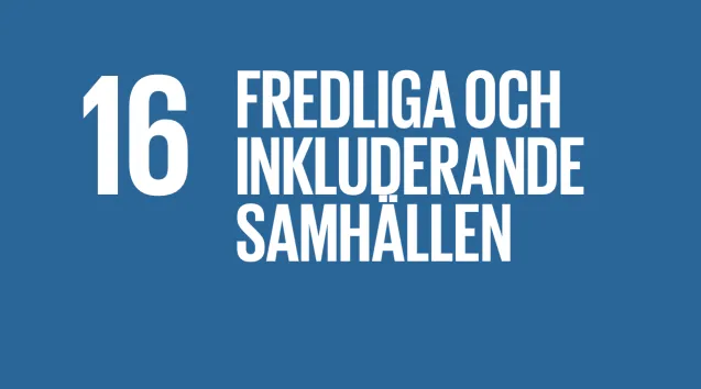 Globalt mål 16