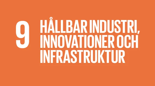 Globalt mål 9 
