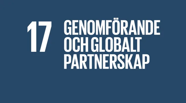 Globala målen 17