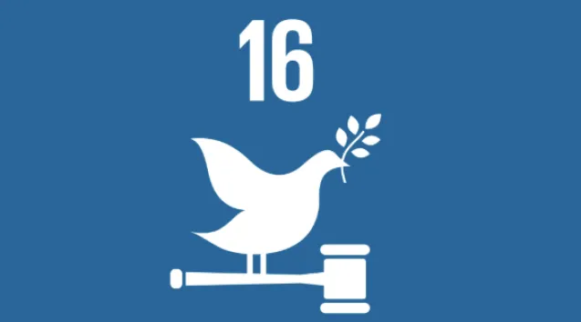 Goal 16