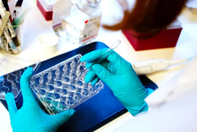 Foto av händer som håller i labbinstrument