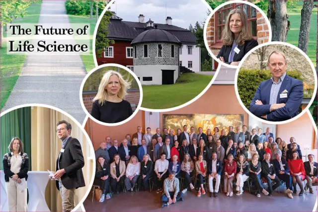 Collage of several photos of people