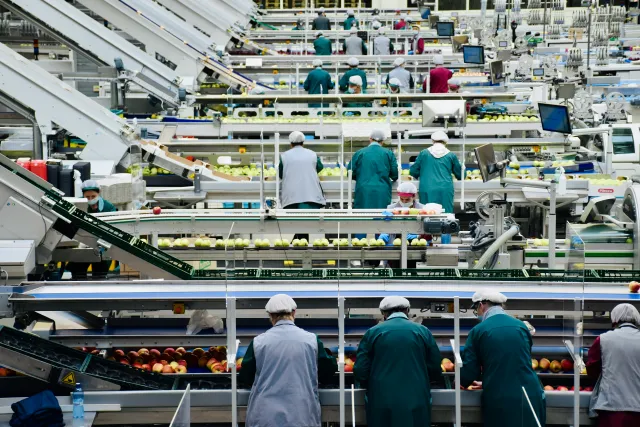 Äppelproduktion